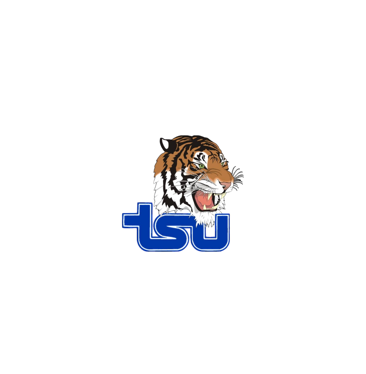 TENNESSE STATE UNIVERSITY