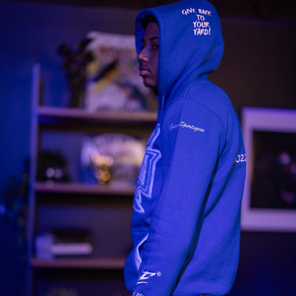 HAMPTON UNIVERSITY COORDINATES HOODIE