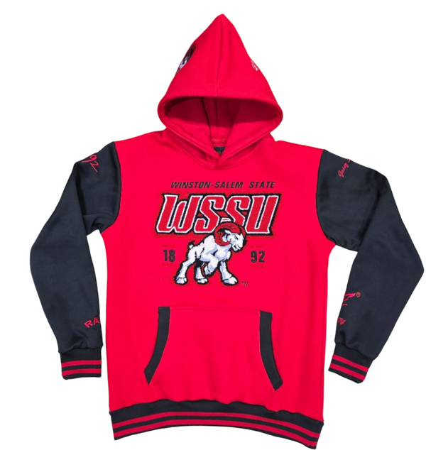 WINSTON-SALEM STATE UNIVERSITY COORDINATES HOODIE